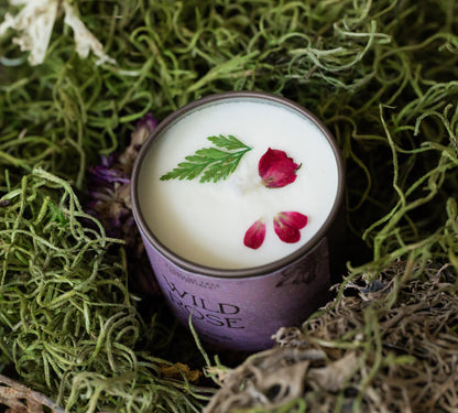 Wild Rose Lotion Candle