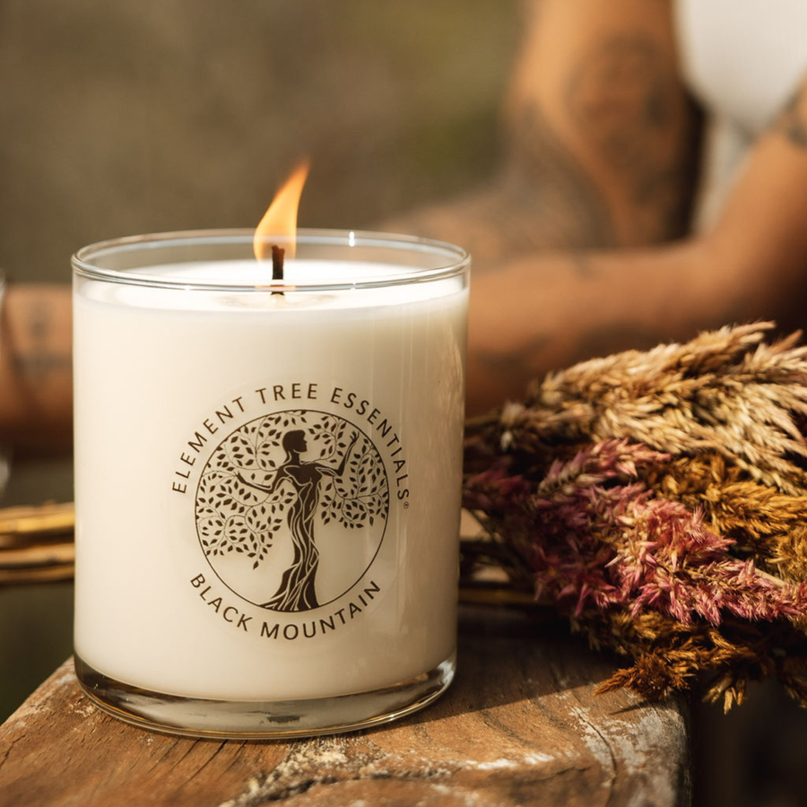 Black Mountain Lotion Candle