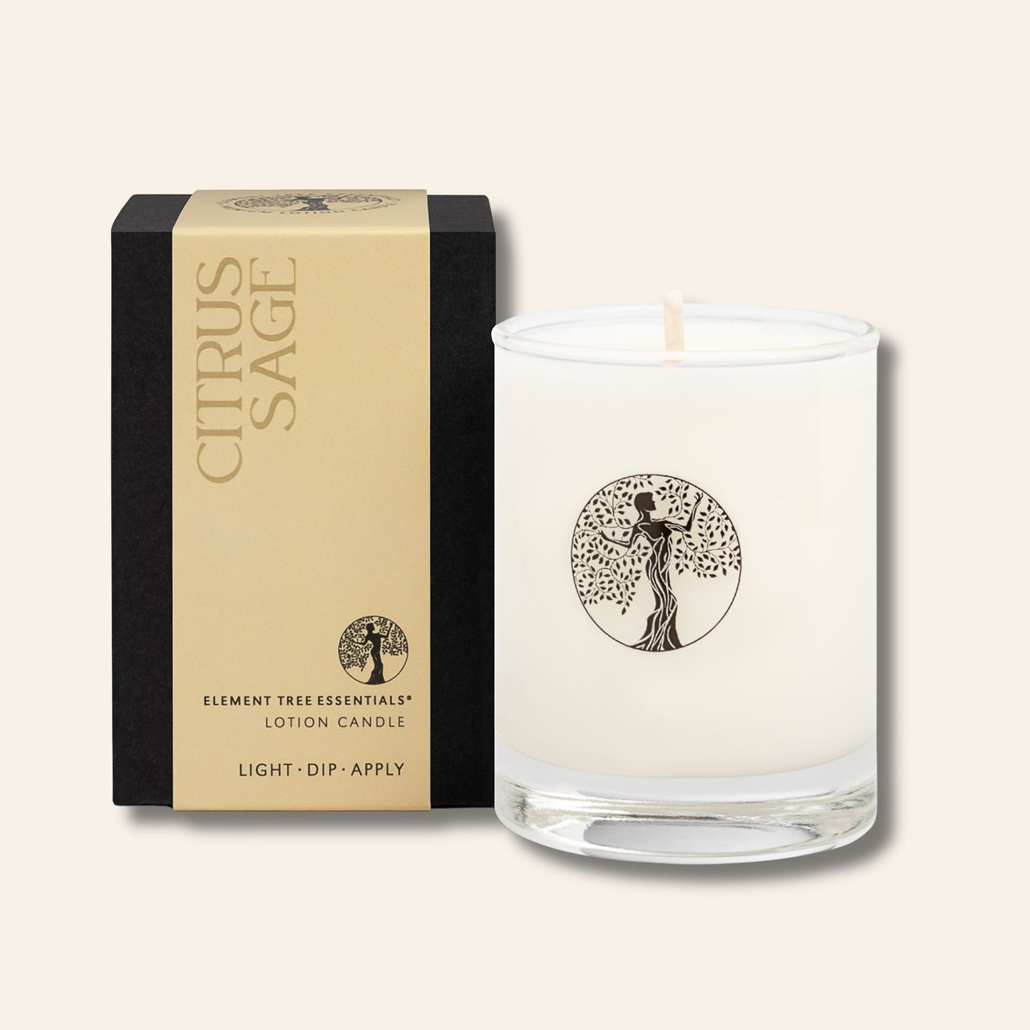 Citrus Sage Lotion Candle
