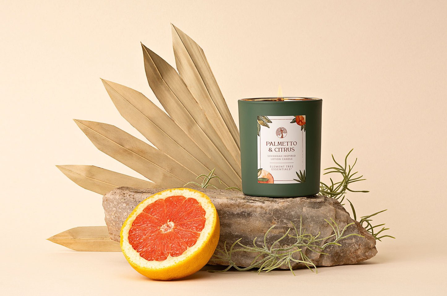 Palmetto & Citrus