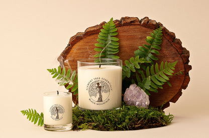 Black Mountain Lotion Candle