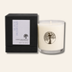 Black Mountain Lotion Candle