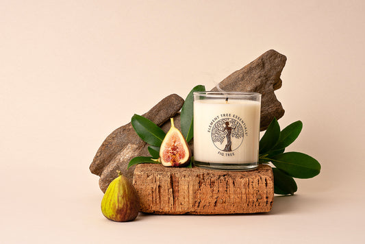 Fig Tree - Limited Edition: Holiday Lotion Candle