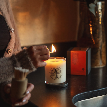 Juniper Berry & Cedar Lotion Candle