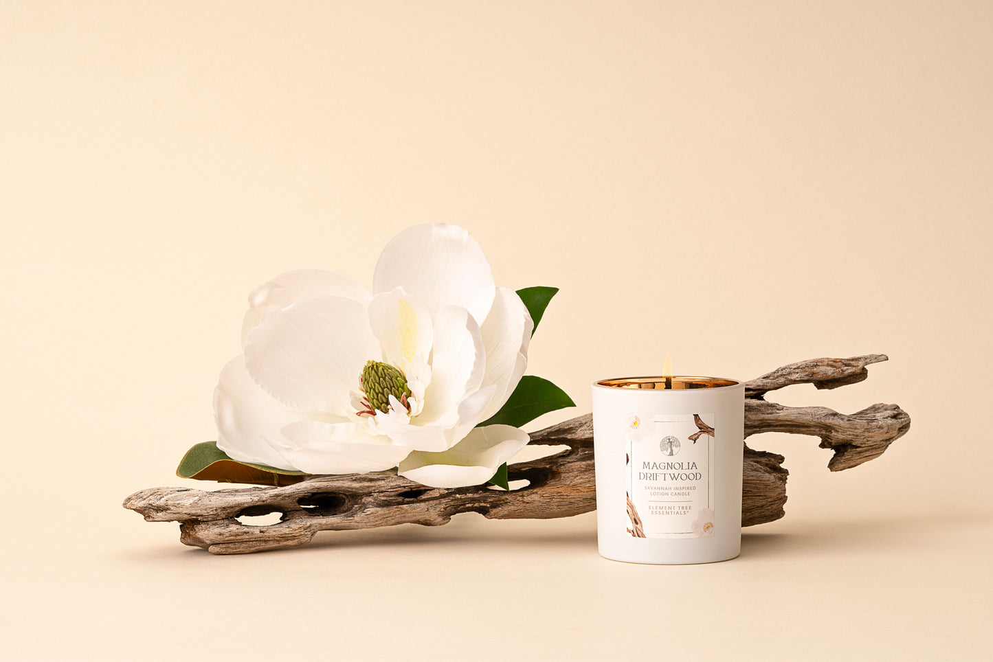Magnolia Driftwood Lotion Candle