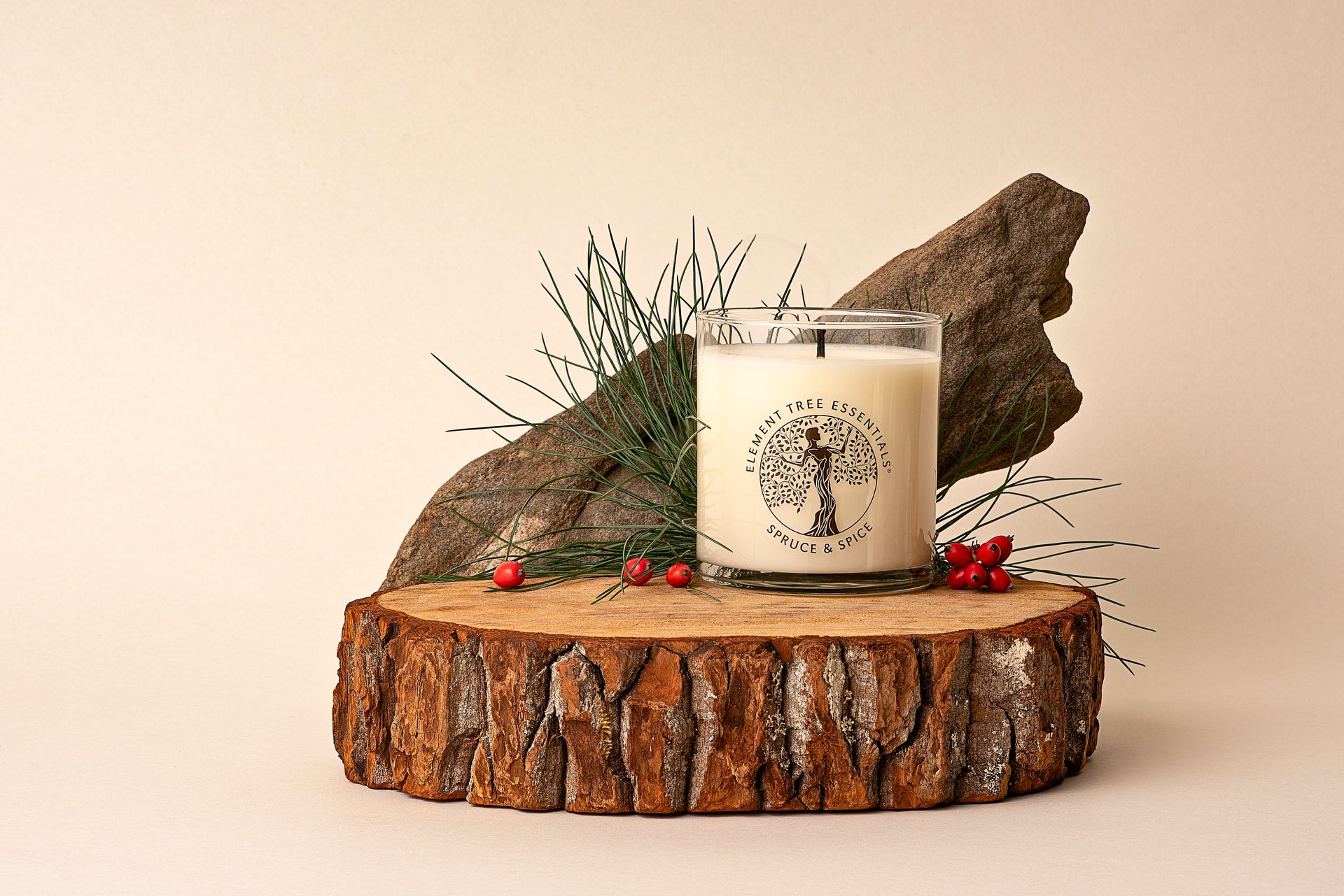 Vanilla Bean - Limited Edition: Holiday Lotion Candle – Element Tree  Essentials