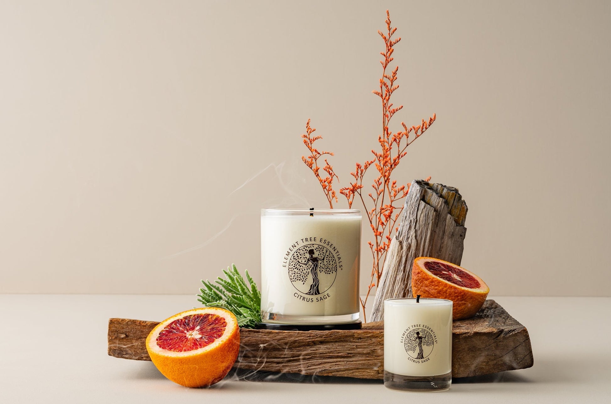 Lotion Candle - Scented – Cedar & Sage Mercantile