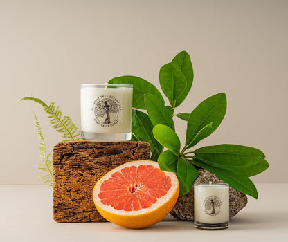 A photo of two different sized lotion candles. They are both Grapefruit Sorbet scent in a clear glass vessel. One is 11 ounce and one is a 3 ounce votive. This photo is styled with Rhododendron leaves, a fern, half of a grapefruit, and a piece of cork, to create a tropical vibe.